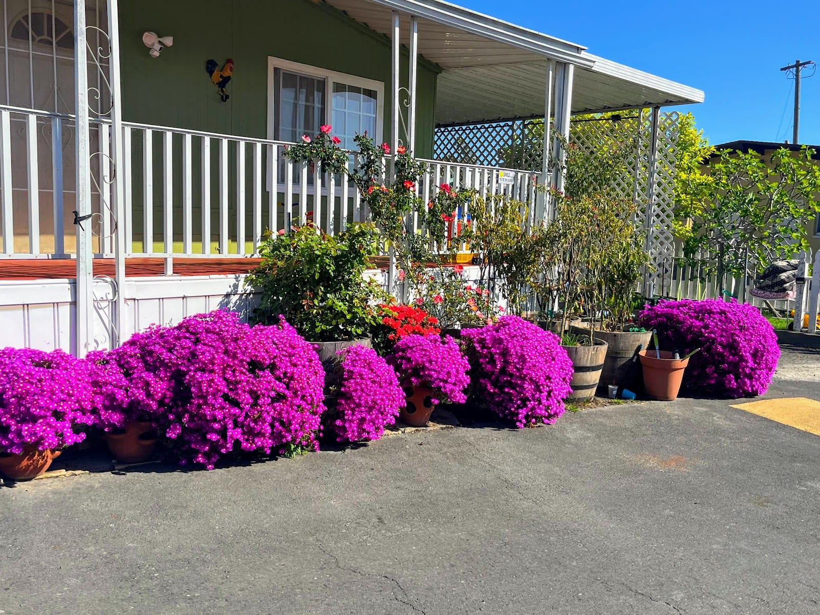Grandview Mobile Home Park