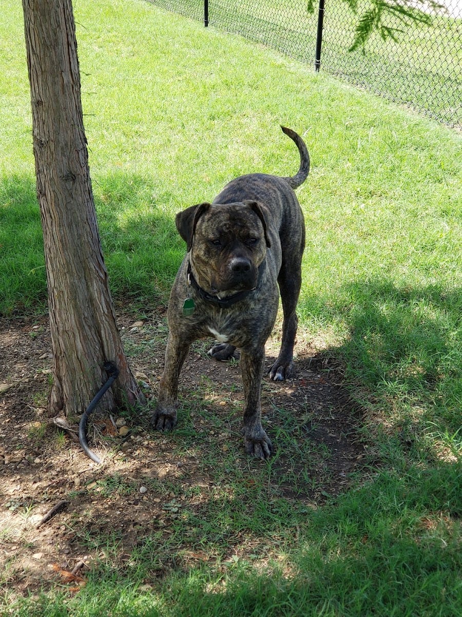 Paloma Creek Dog Park