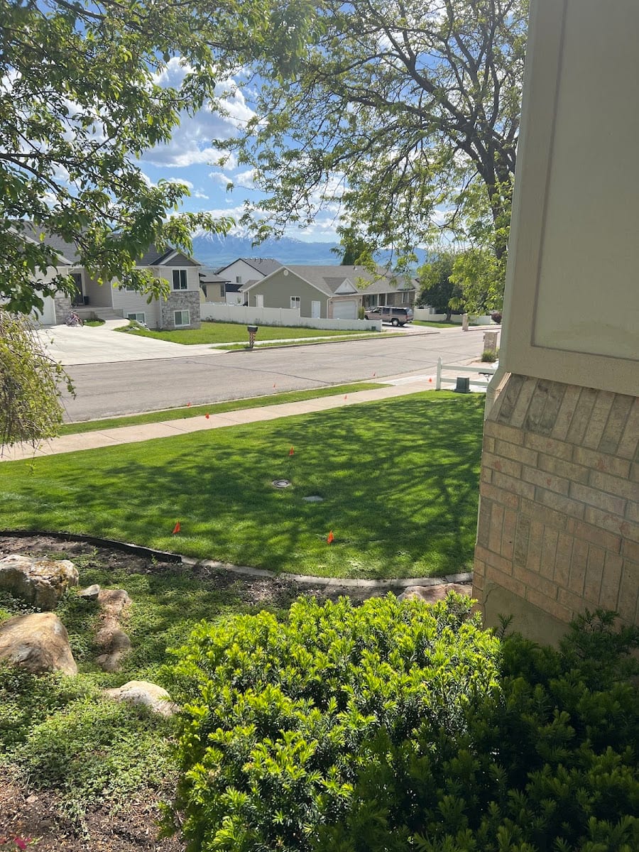 Dr Squeegee's Exterior Home Services, photo 3
