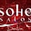 Soho Salon Denton