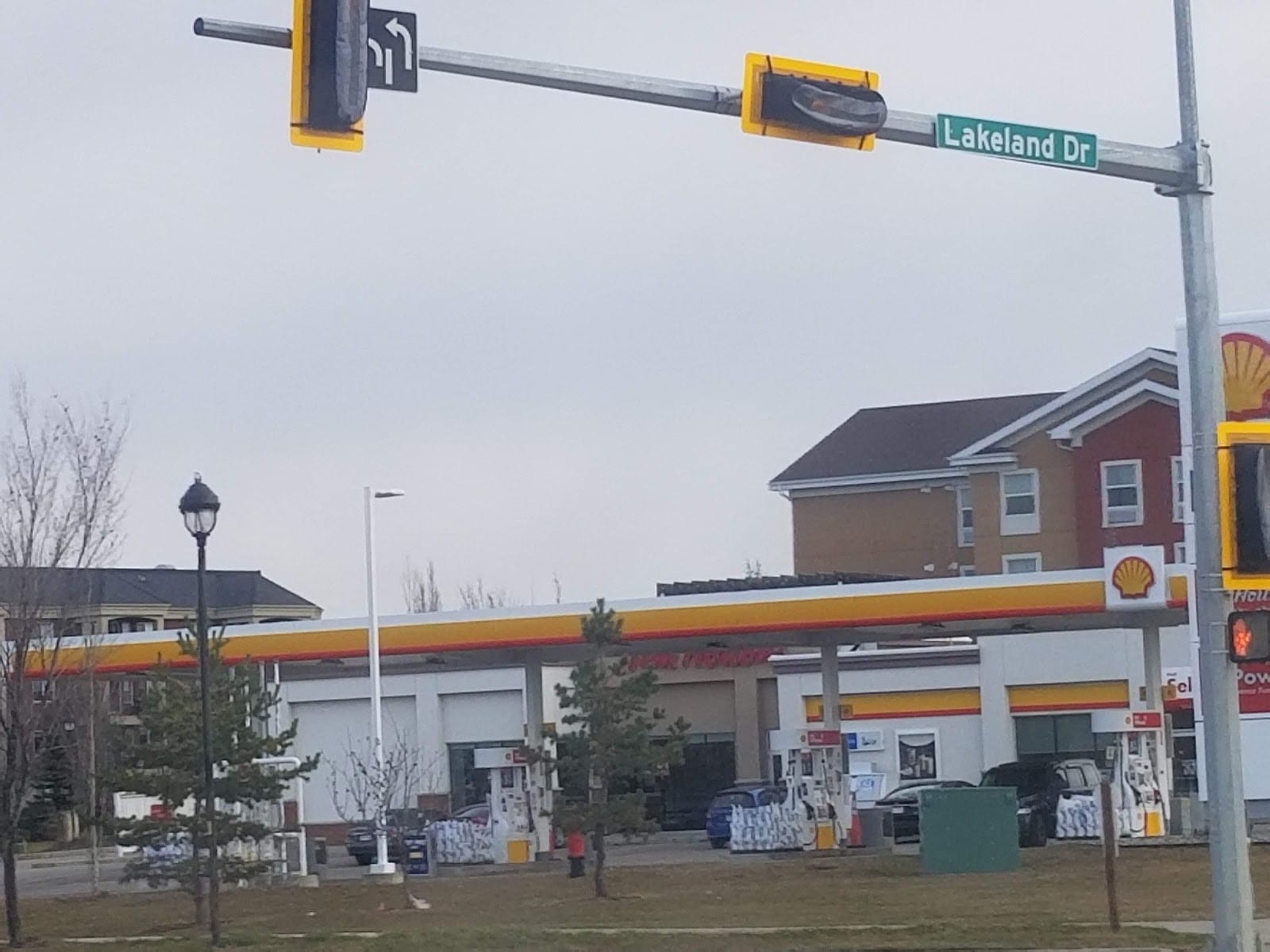 Shell, photo 3