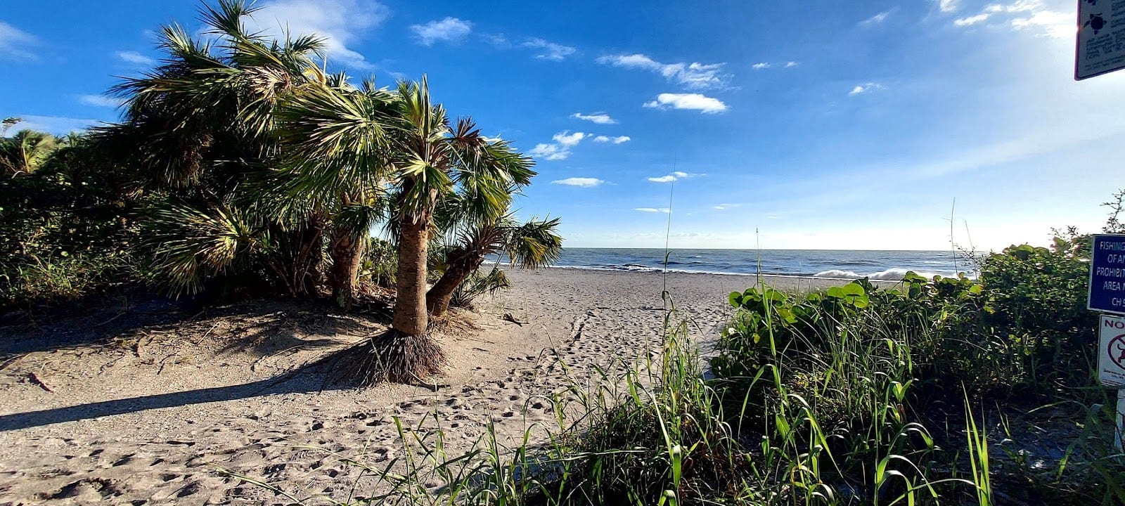 Manasota Beach Yoga, Yoga at North End of Manasota Beach Englewood/Venice, photo 4
