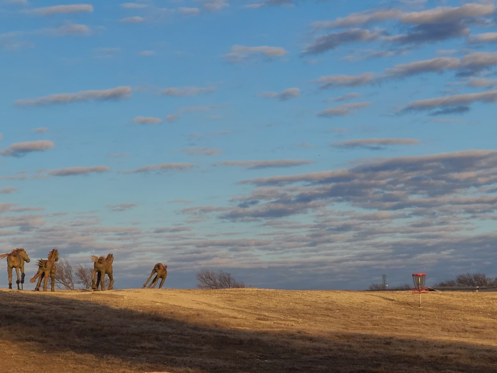 MacKenzie Disc Golf Course