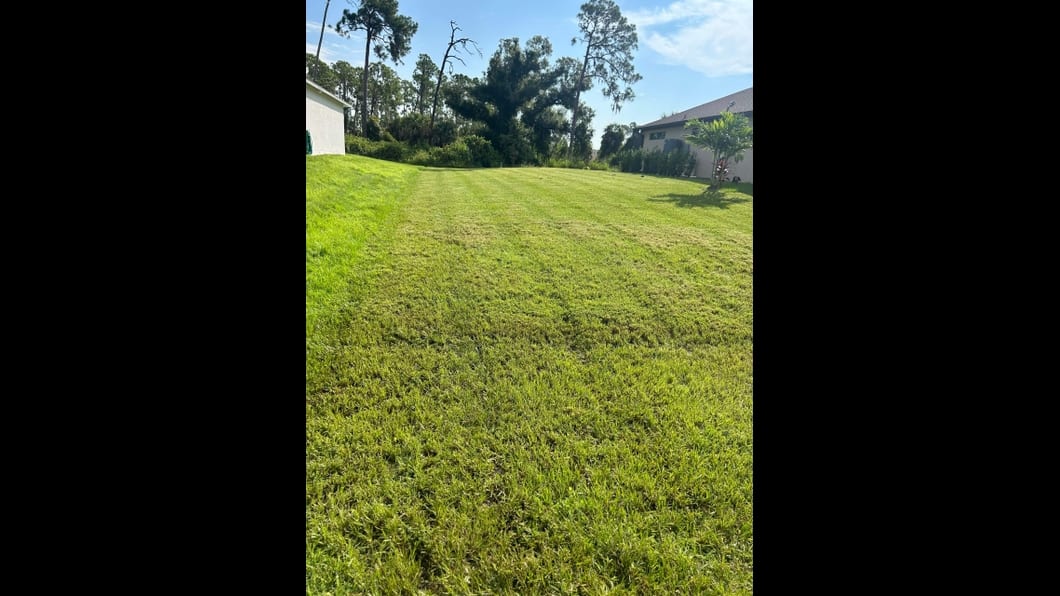 Green Haven Tree And Lawn Service, photo 2