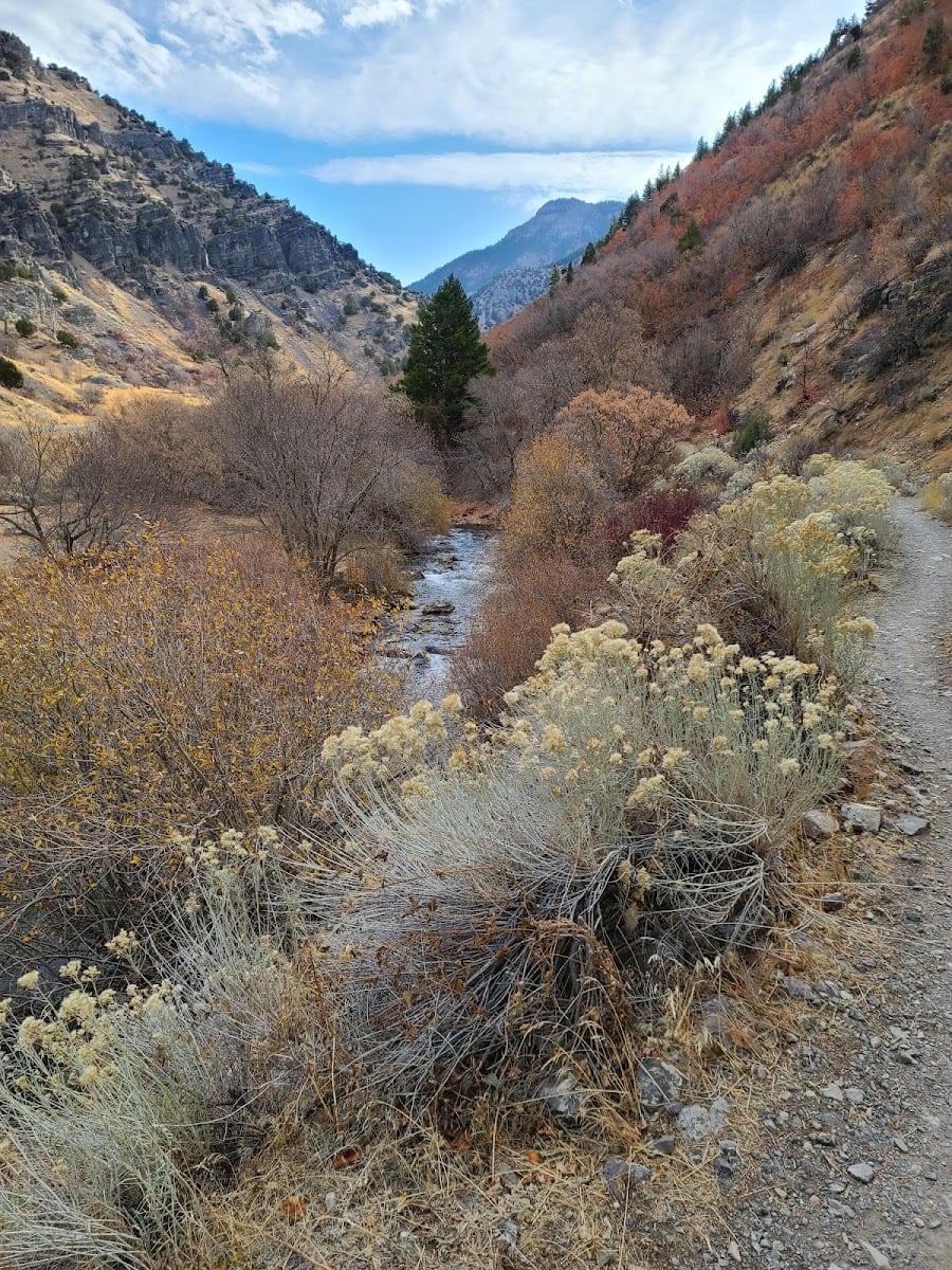 Blacksmith Fork River Trail