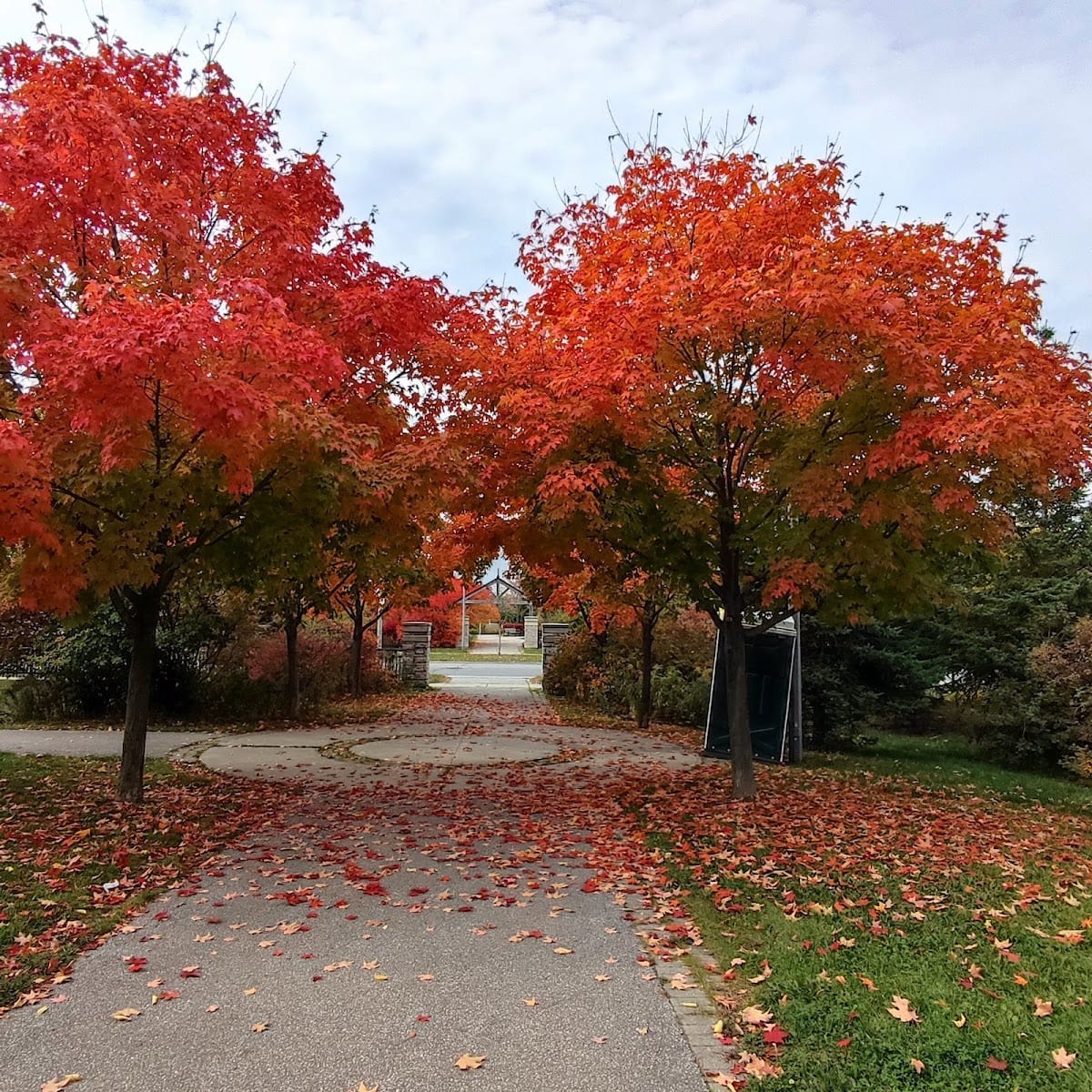 John Tipp Park