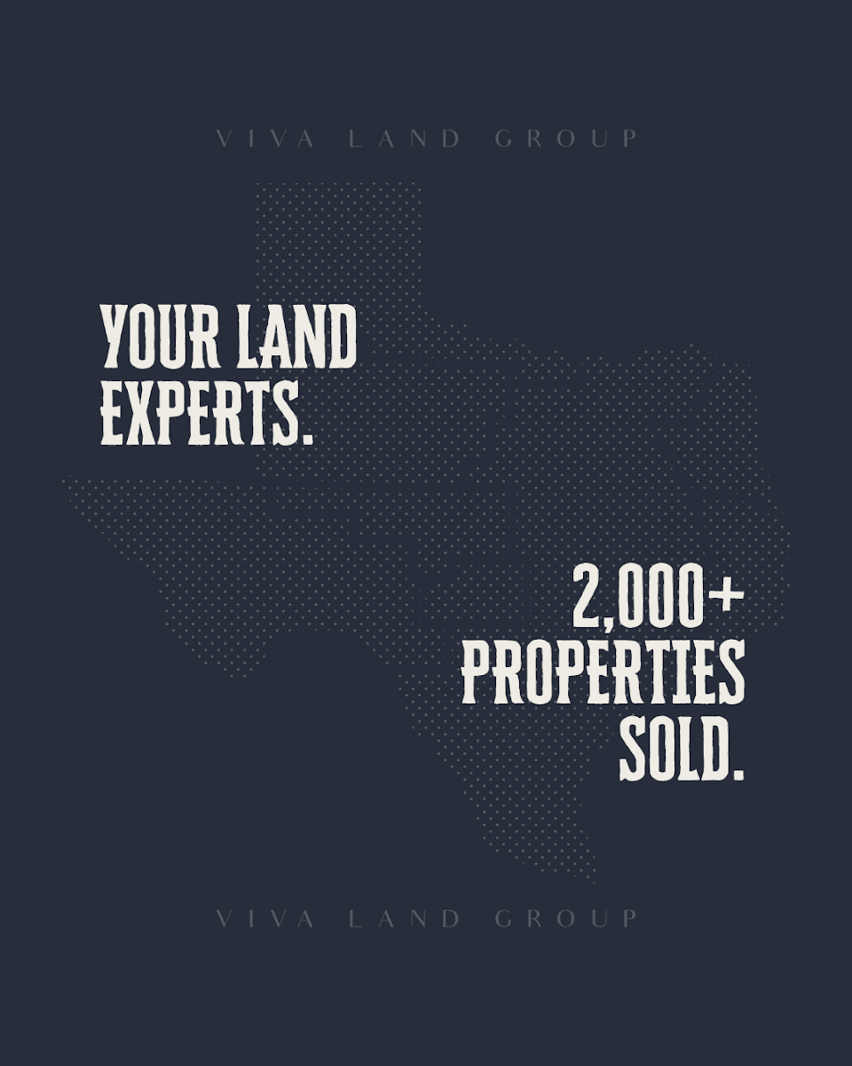 Viva Land Group, photo 4