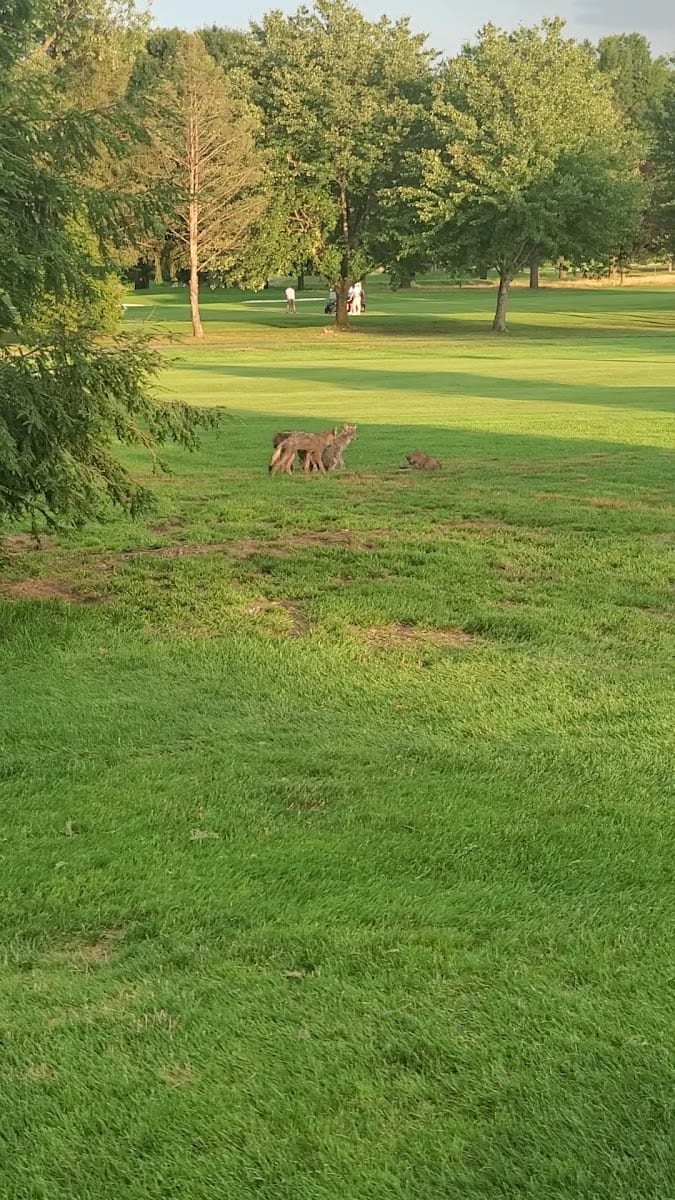 Paramus Golf Course, photo 2