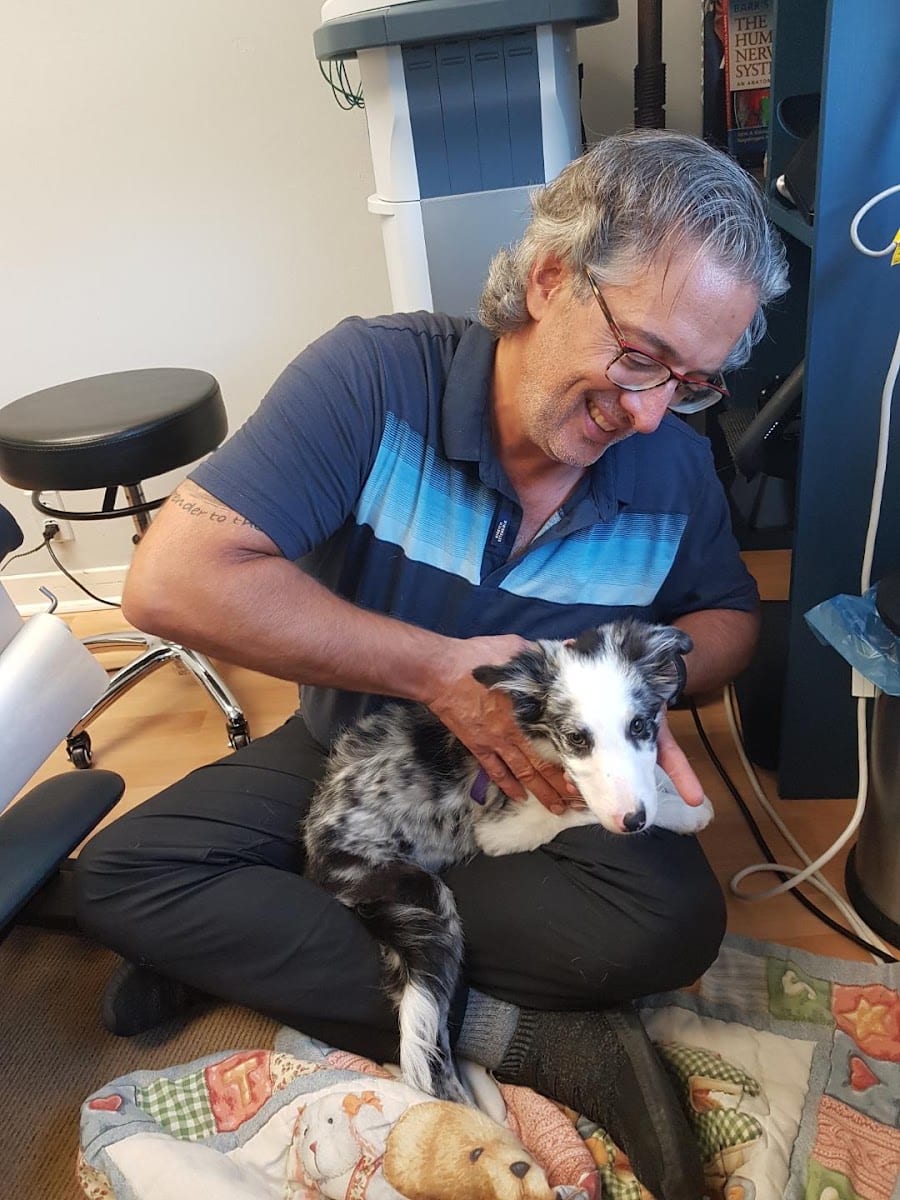 My Pet's Chiropractor, photo 2