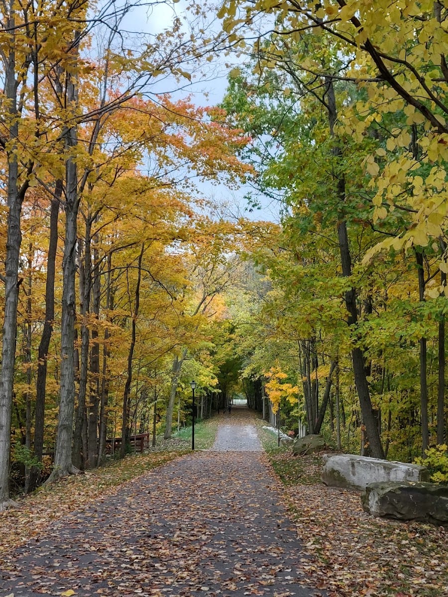 Pufferbelly Trailhead