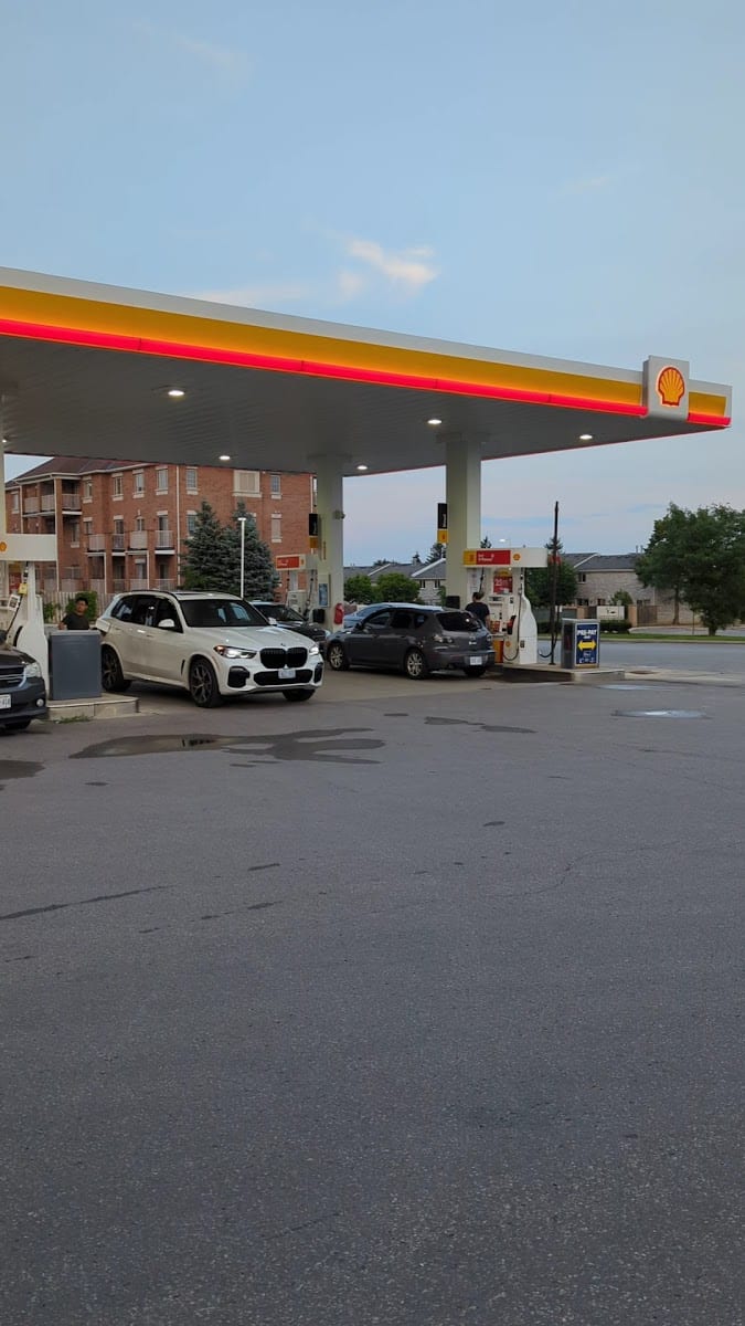 Shell, photo 3