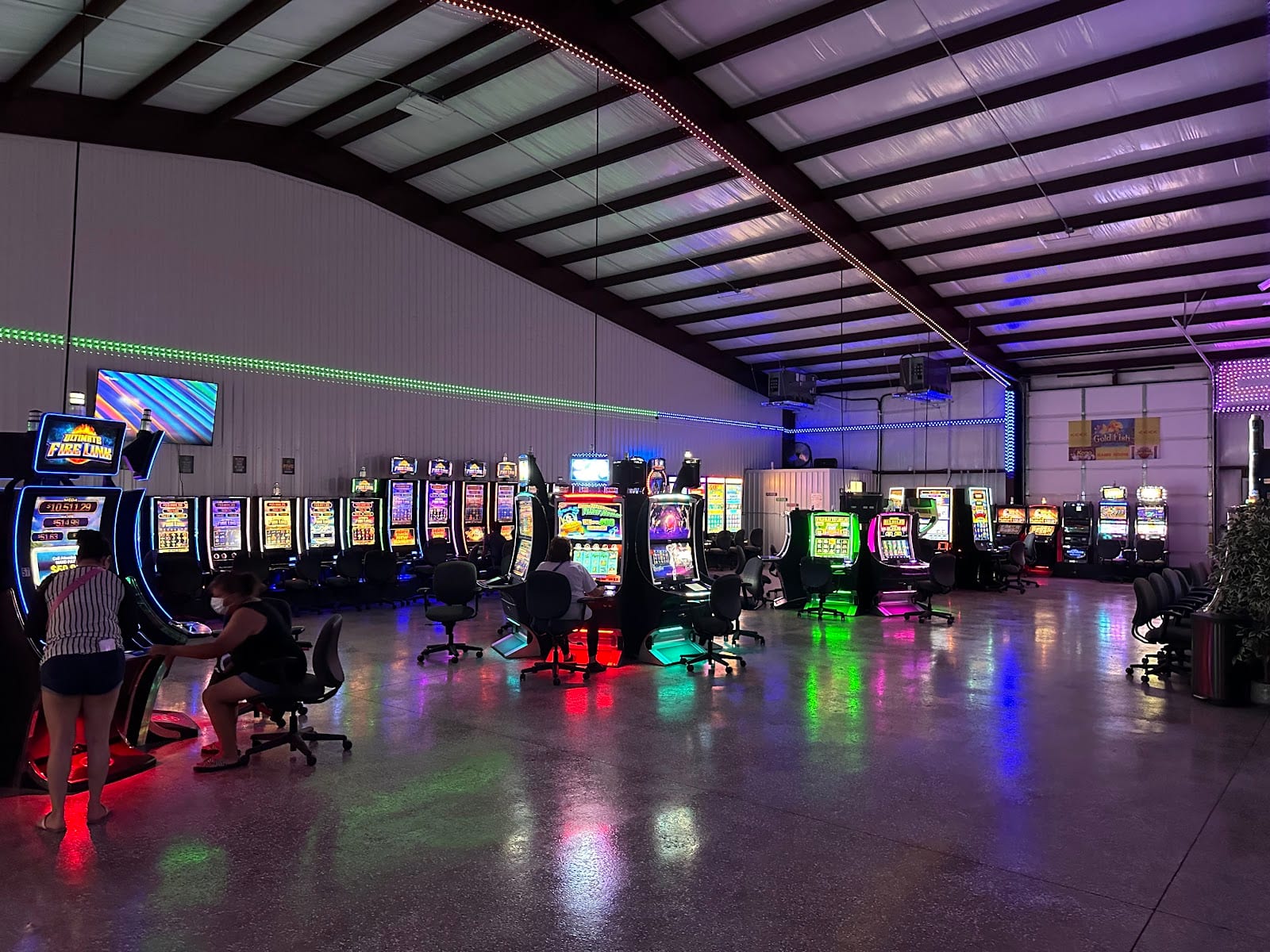 Gold Fish Game Room