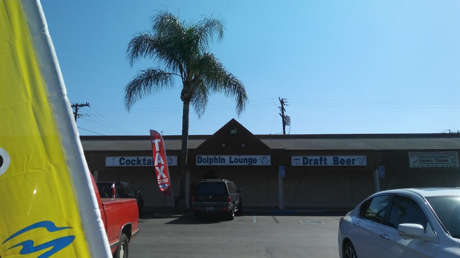 Dolphin Lounge