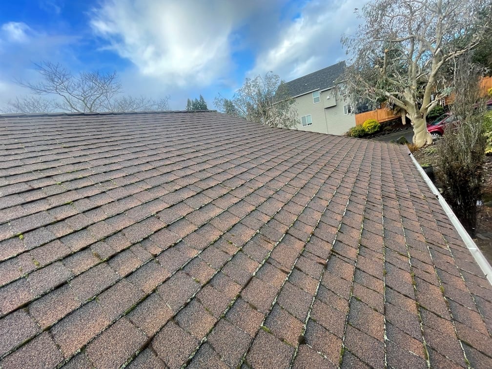 Wilderland Roof & Window Cleaning