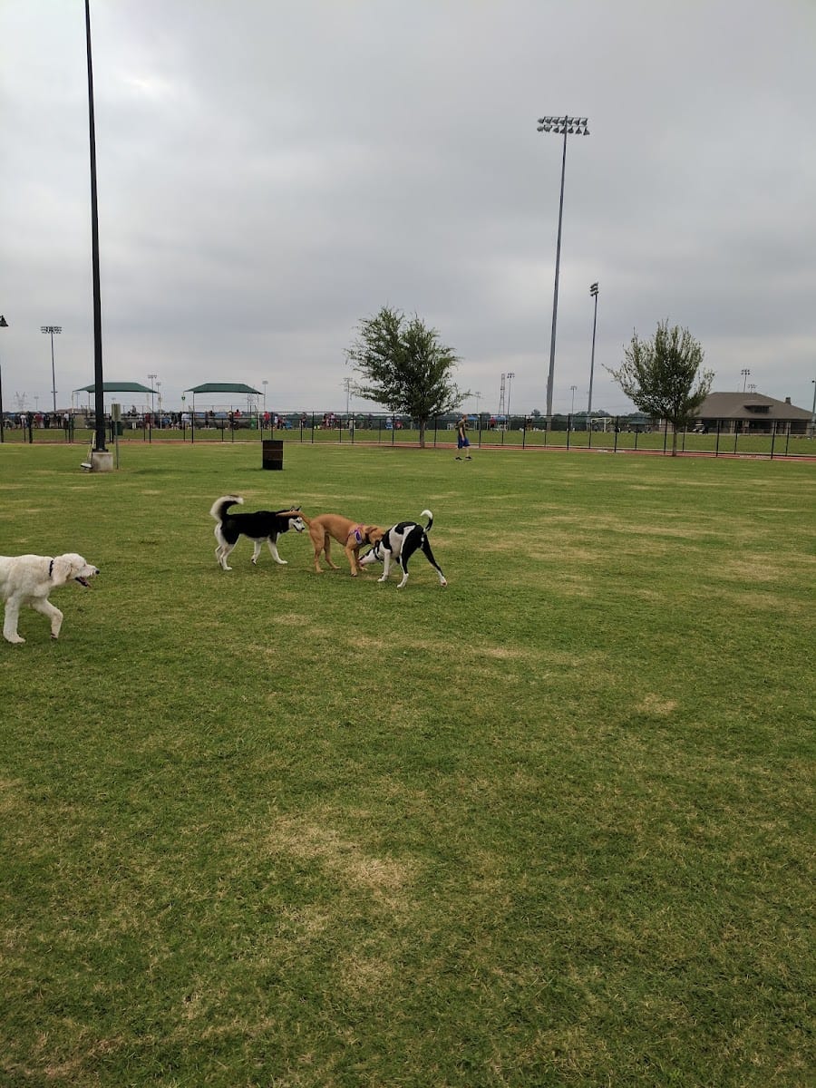 Dog Park