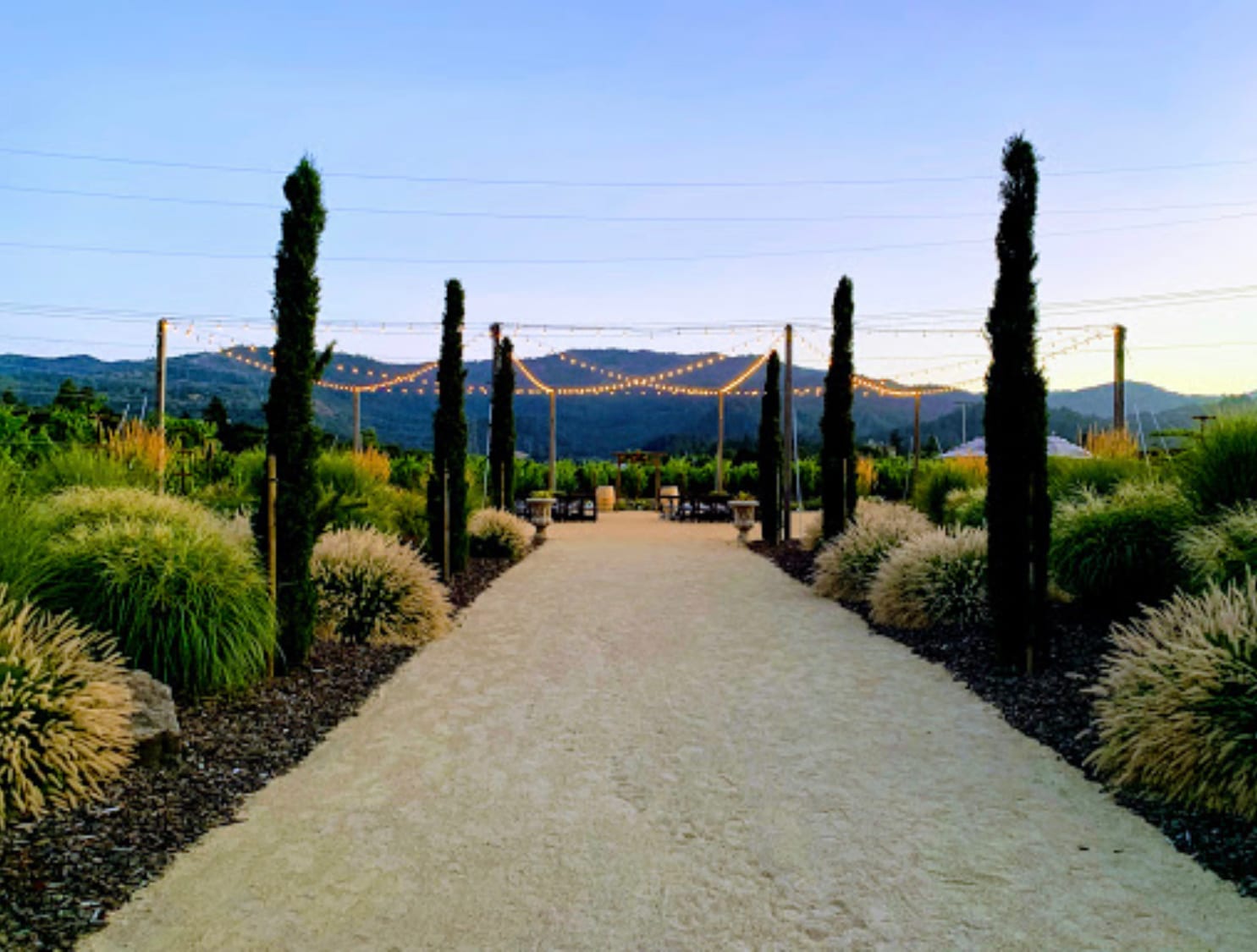 Brindare Napa Valley