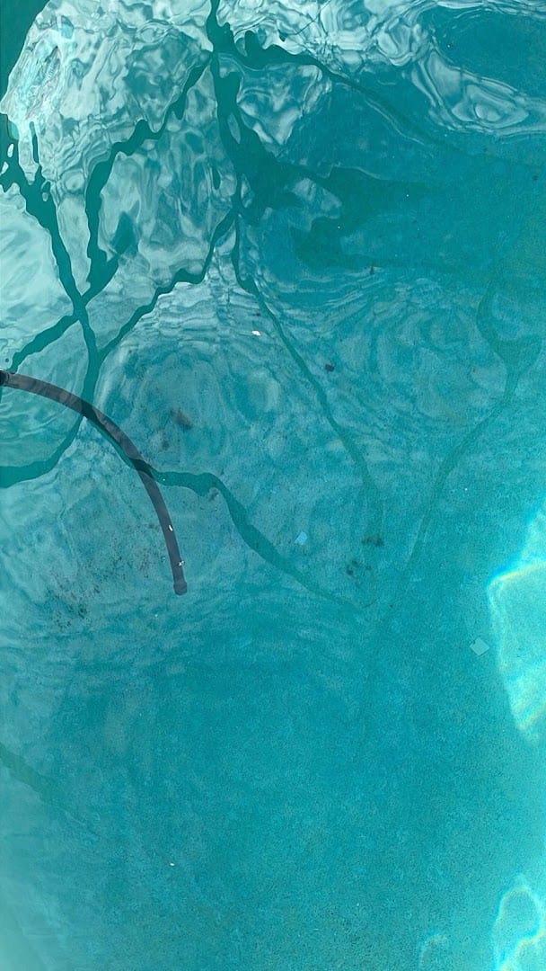 Native Waters Pool Service, photo 3