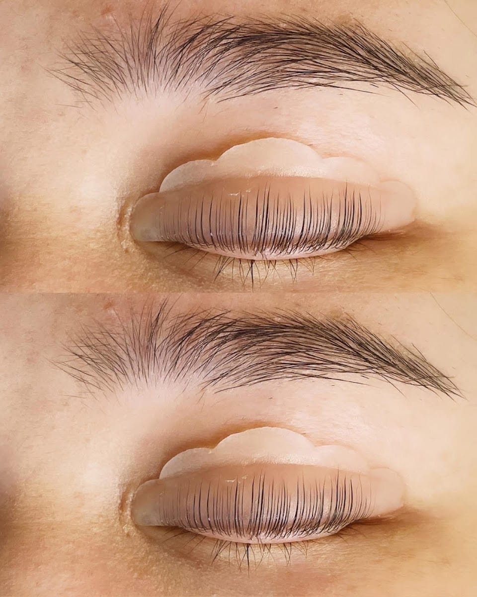 Winky.Co Eyelash Bar