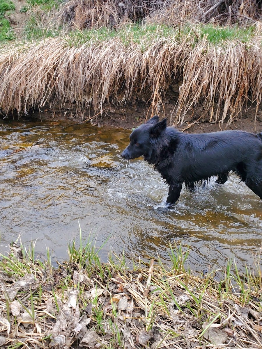Garden Creek Park, photo 3