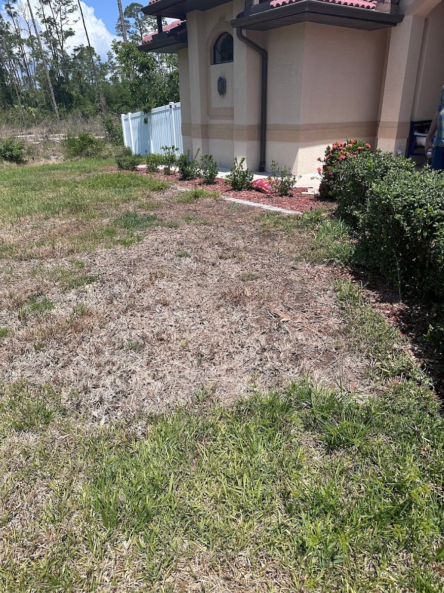 Massey Services Pest Control, photo 3