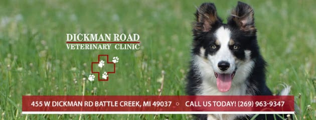 Dickman Road Veterinary Clinic