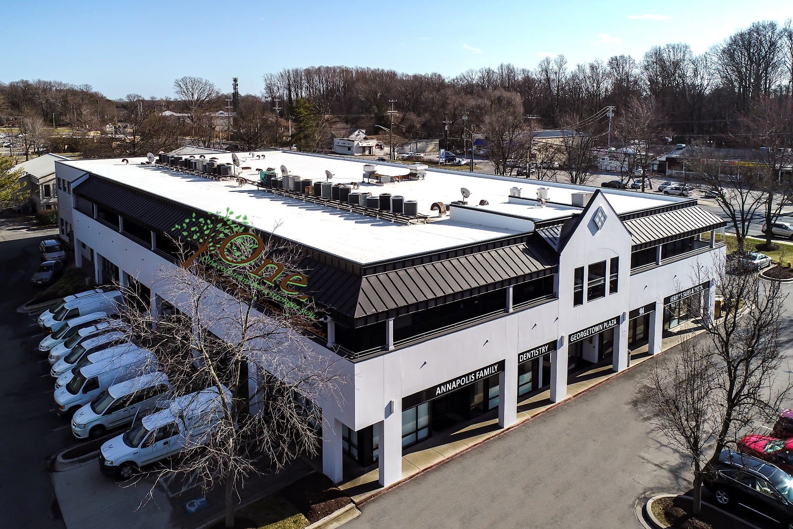 One. Physical Therapy, Fitness and Wellness, photo 3
