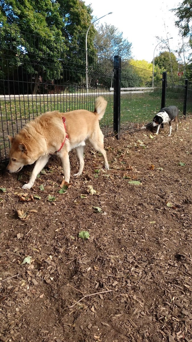 Orphan's Green Off Leash Dog Park