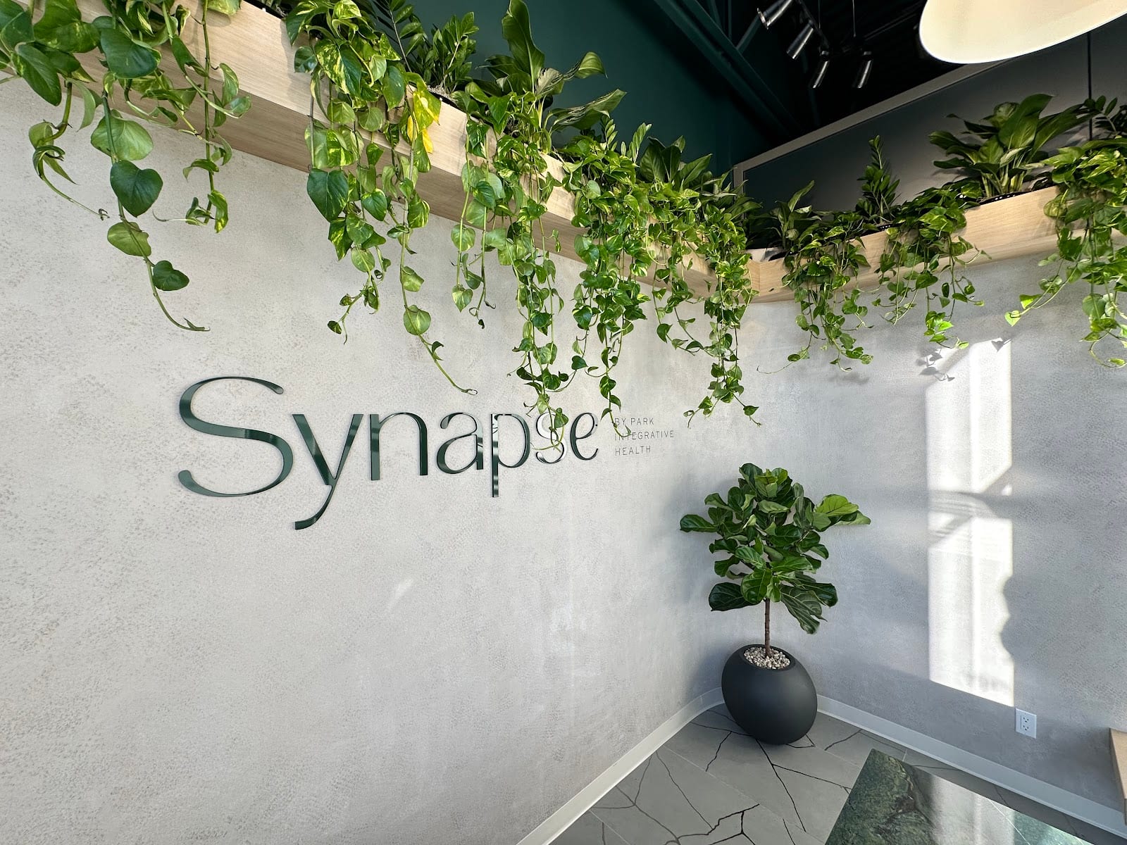Synapse by Park Integrative Health, photo 4