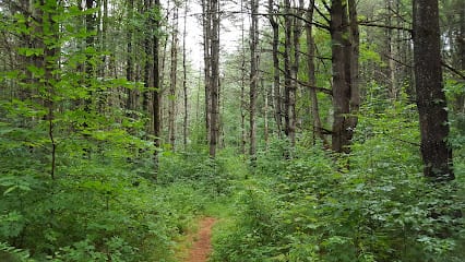 Rowland Hollow Creek Preserve