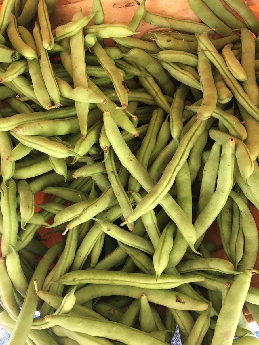 Community Market of Rabun County, photo 2