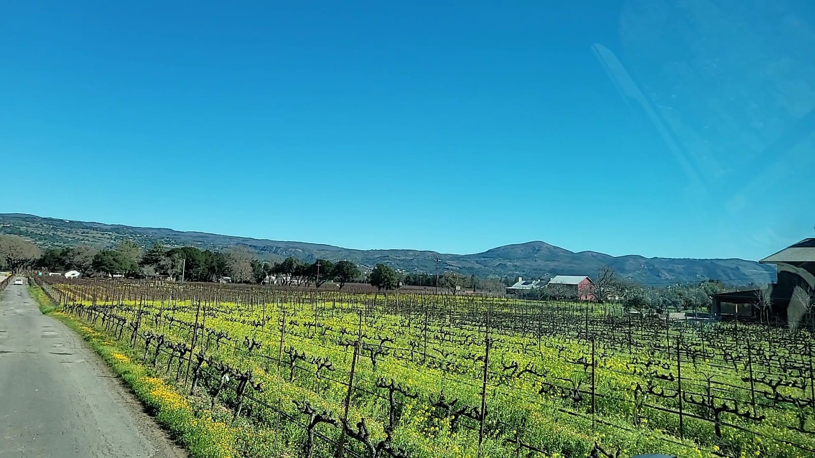 Boyd Family Vineyard Napa, photo 2