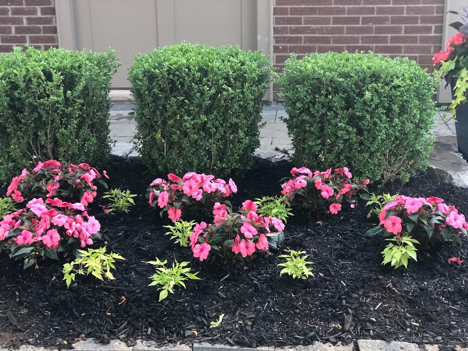 Maximus Jardin inc, photo 2