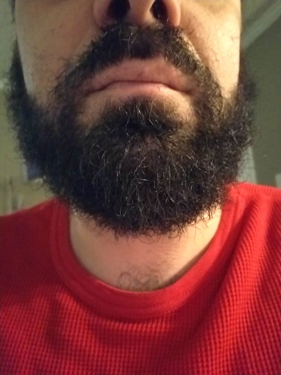 Avenues Barber, photo 3