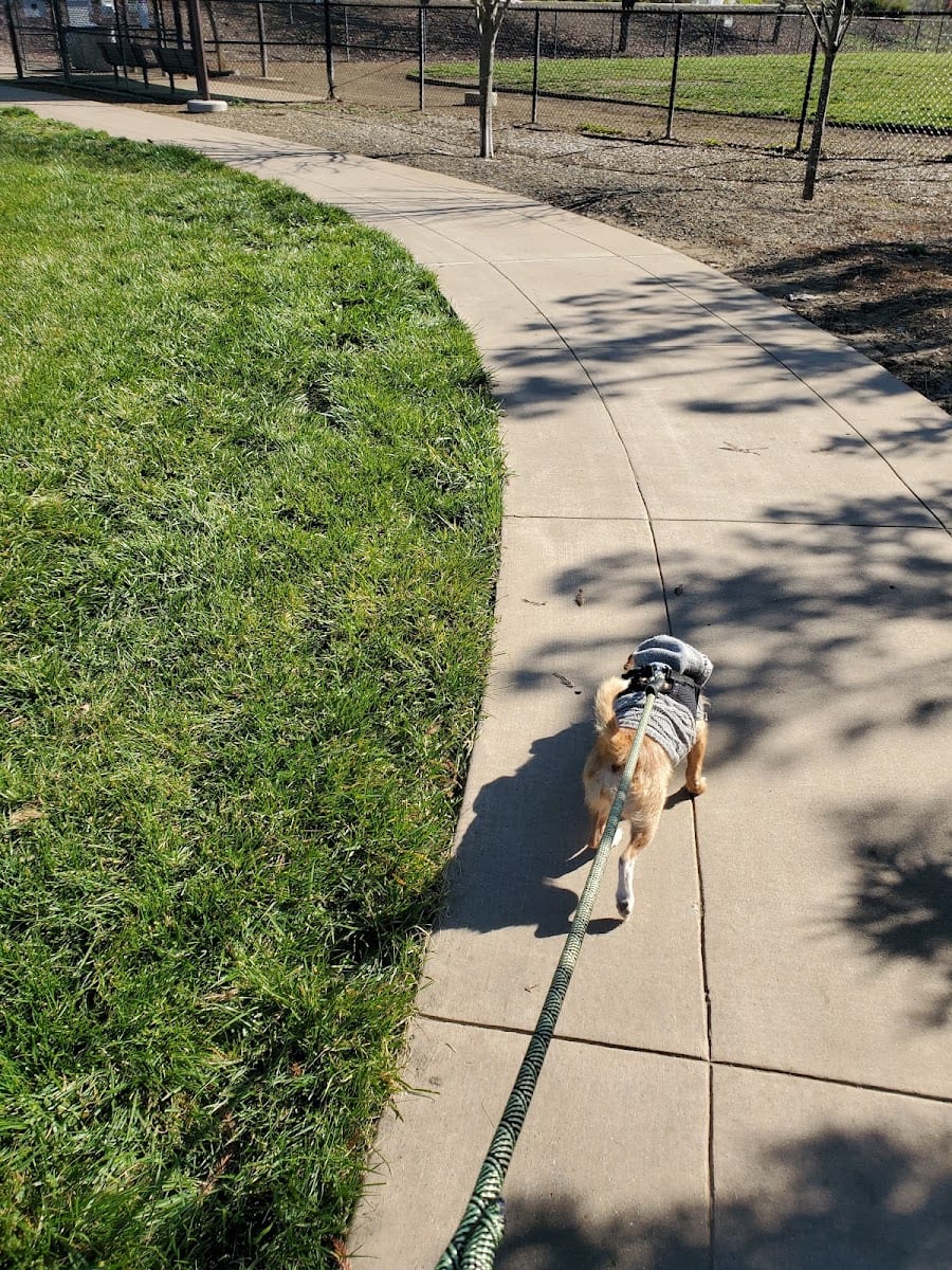 Dog Park, photo 3