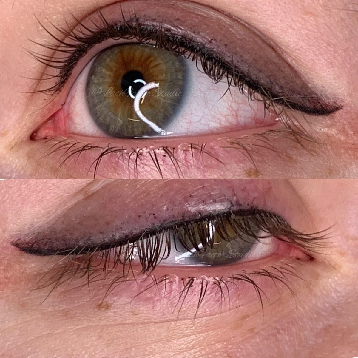 Lash Factor Studio