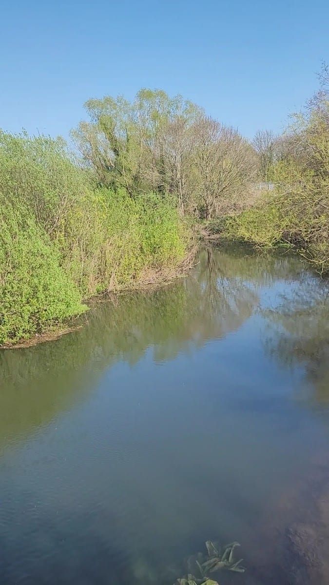 Anderson's Meadow, photo 2