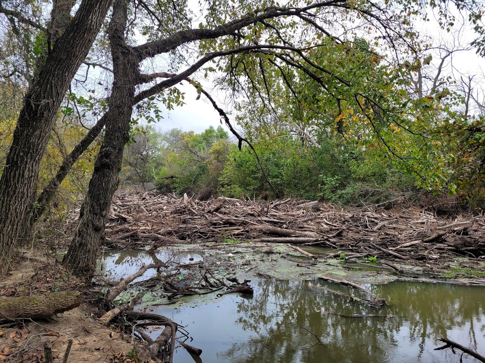 Greenbelt Park Denton