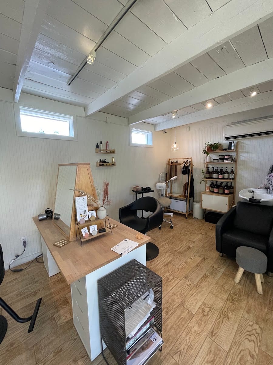 Balance Holistic Hair Studio, photo 4