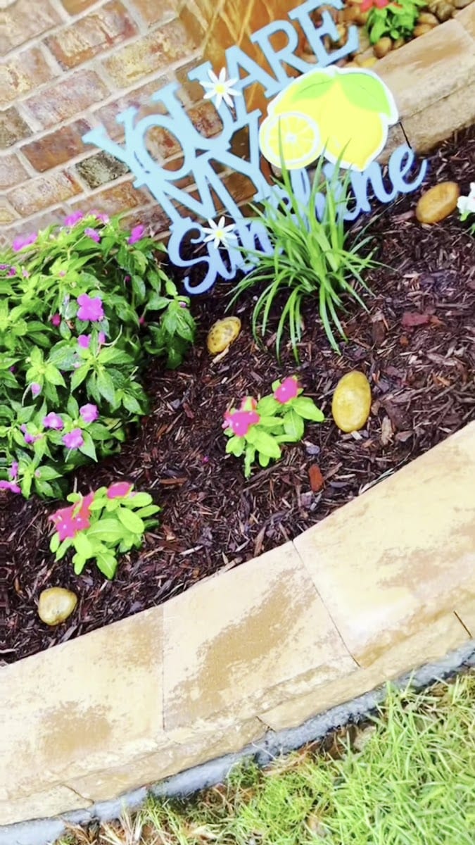 Adams Lawn/Landscape Services LLC, photo 3