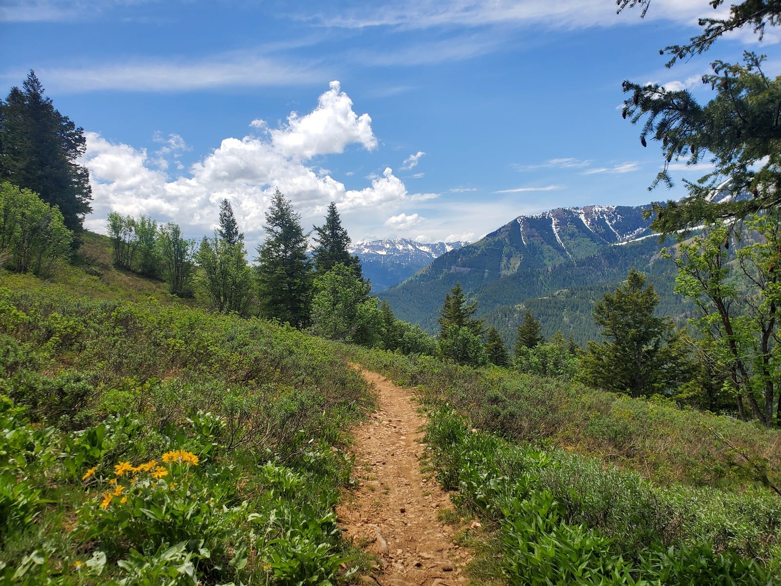 Jardine Juniper Trail Head, photo 3