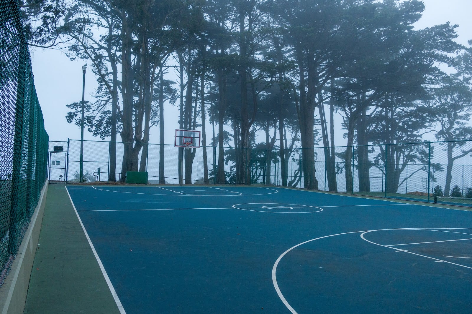 Holly Park Tennis Court