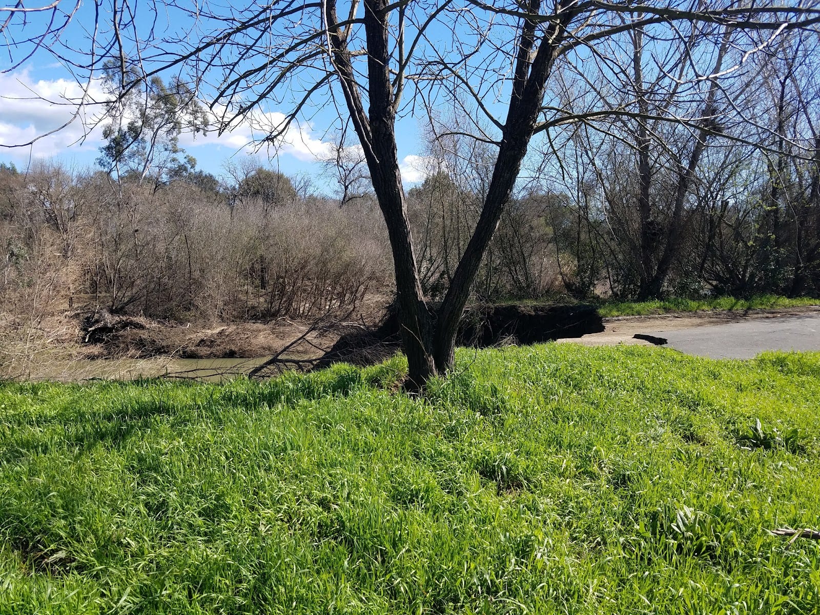 Trancas Crossing Park