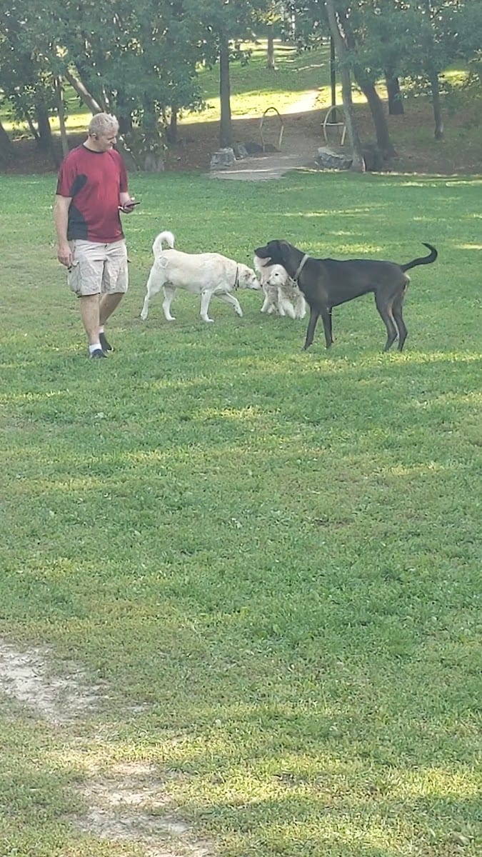 Pocket Designated Off-Leash Area, photo 2