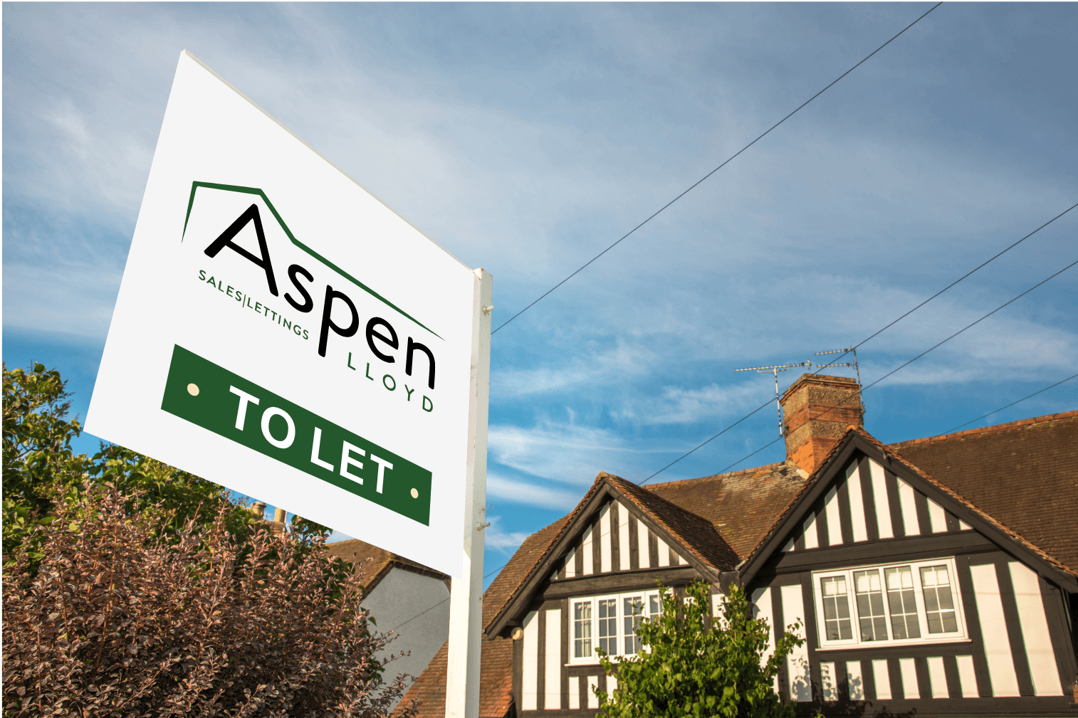 Aspen Lloyd Estate ltd