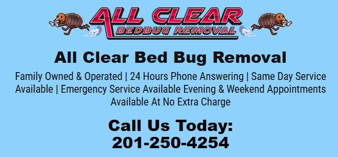 All Clear Bedbug Removal, photo 2