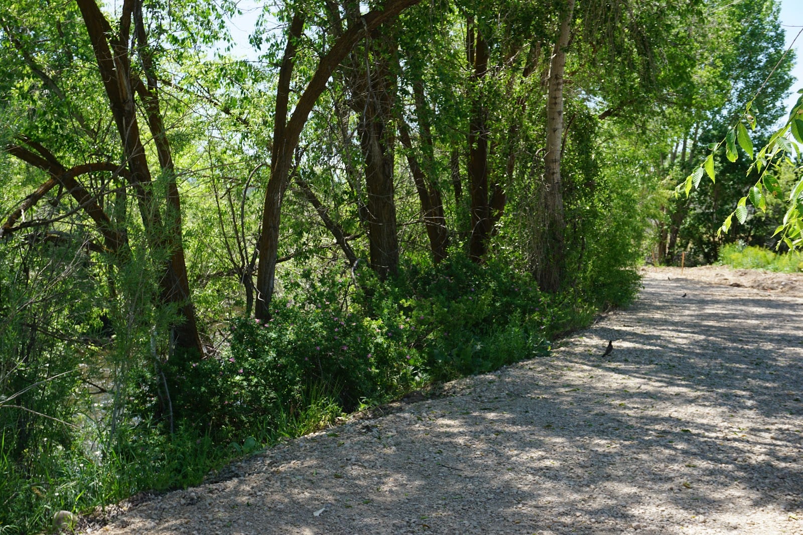 Creekside RV Park, photo 3