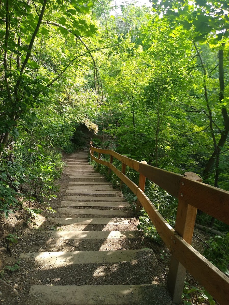 Miller Bird Refuge and Nature Park
