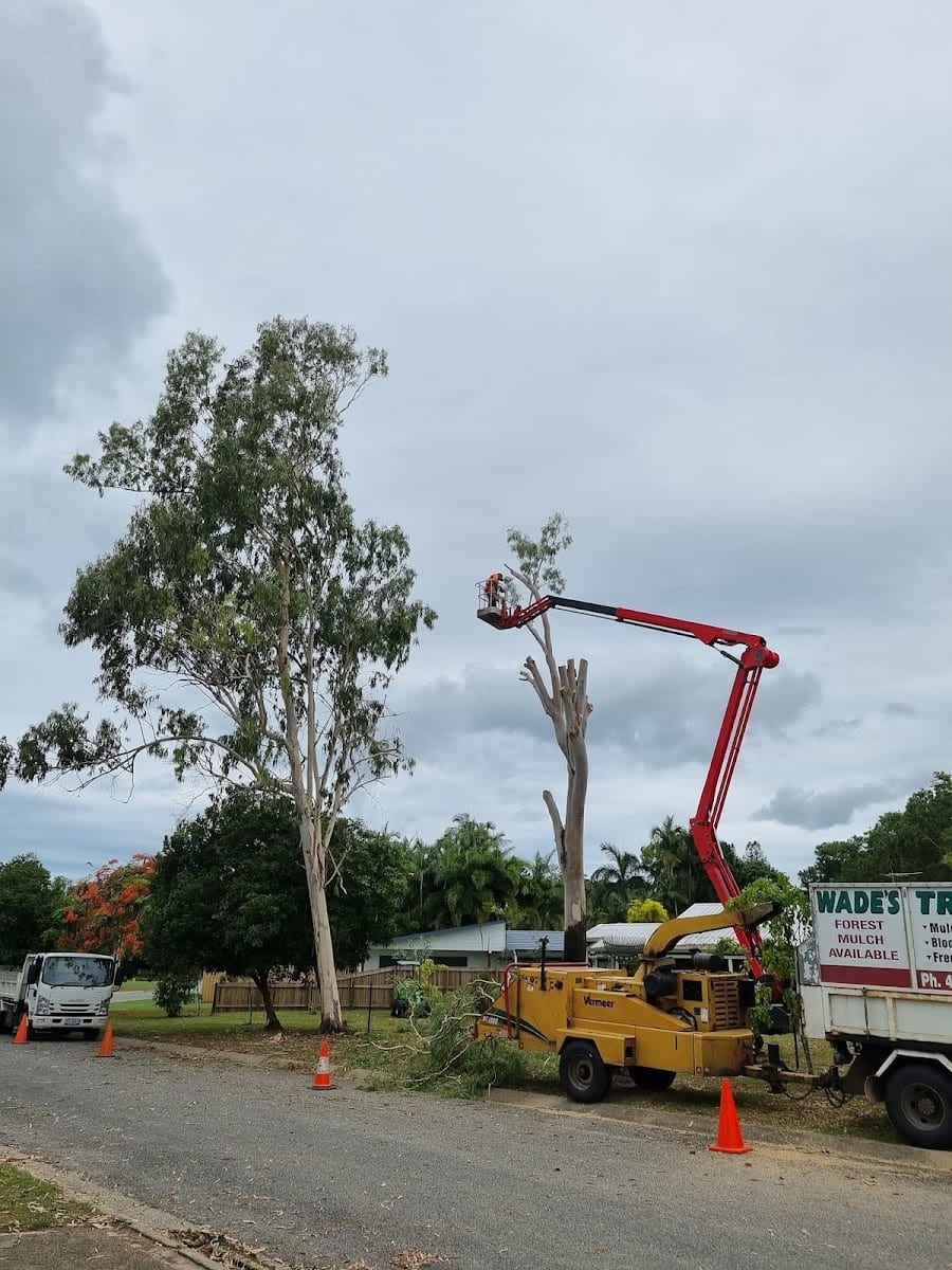 Wade's Tree Service