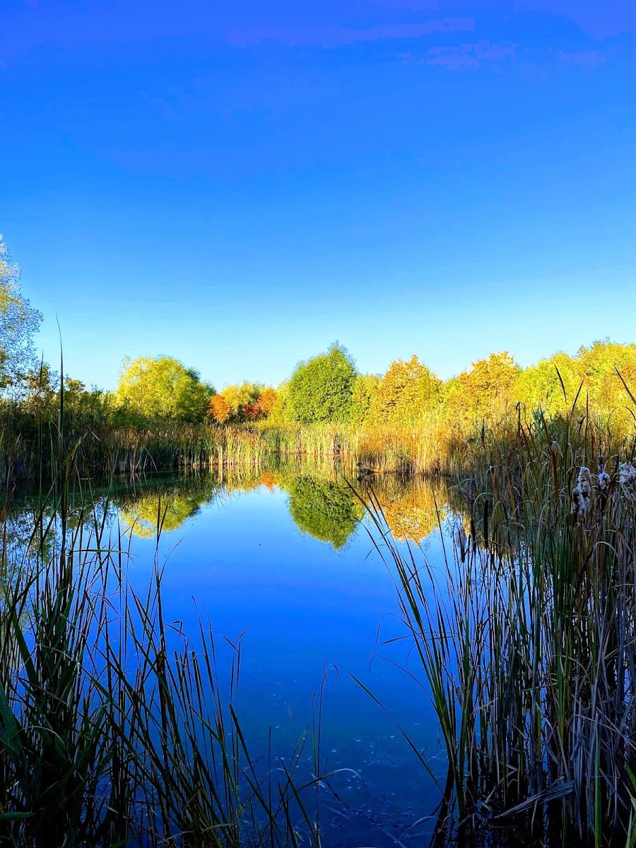 Newberry Park