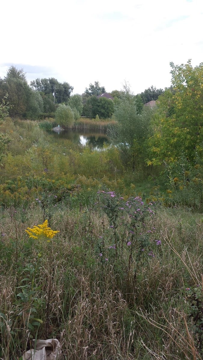 Delbert Baker Pond & Garden